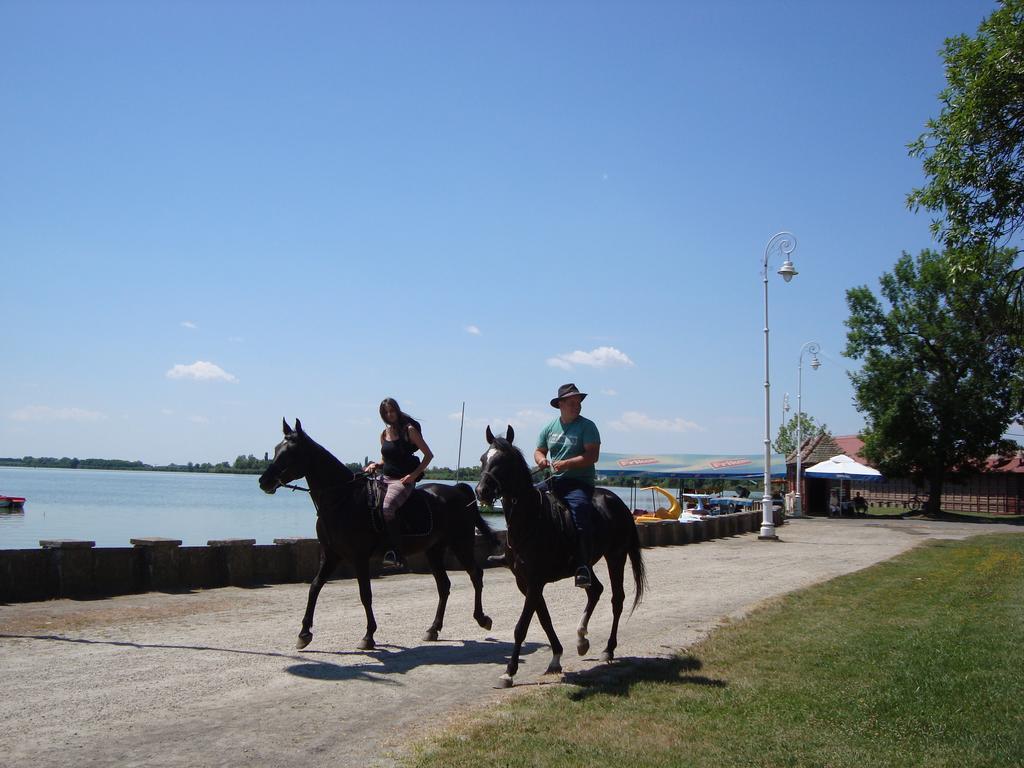 Vila Madams - Palic-Serbia Экстерьер фото