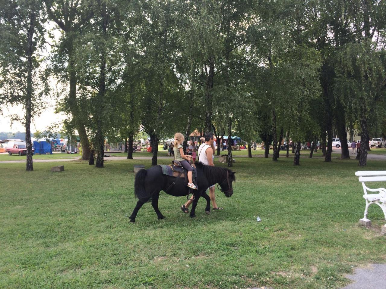 Vila Madams - Palic-Serbia Экстерьер фото